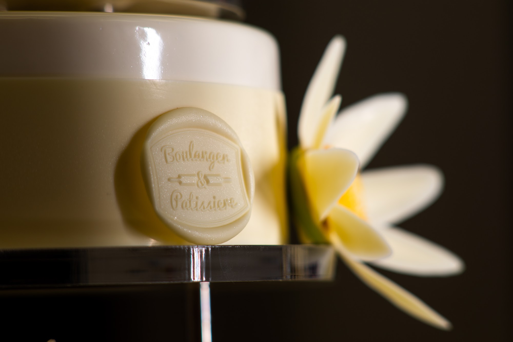Ivory vanilla entremets beside fresh vanilla flowers in warm light
