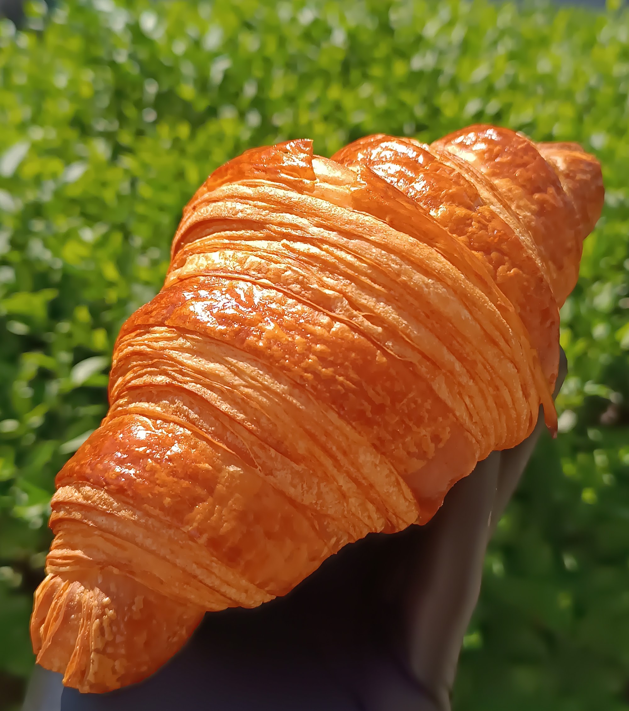 Deeply golden pure-butter croissant with clear curved layers and a crisp glossy crust