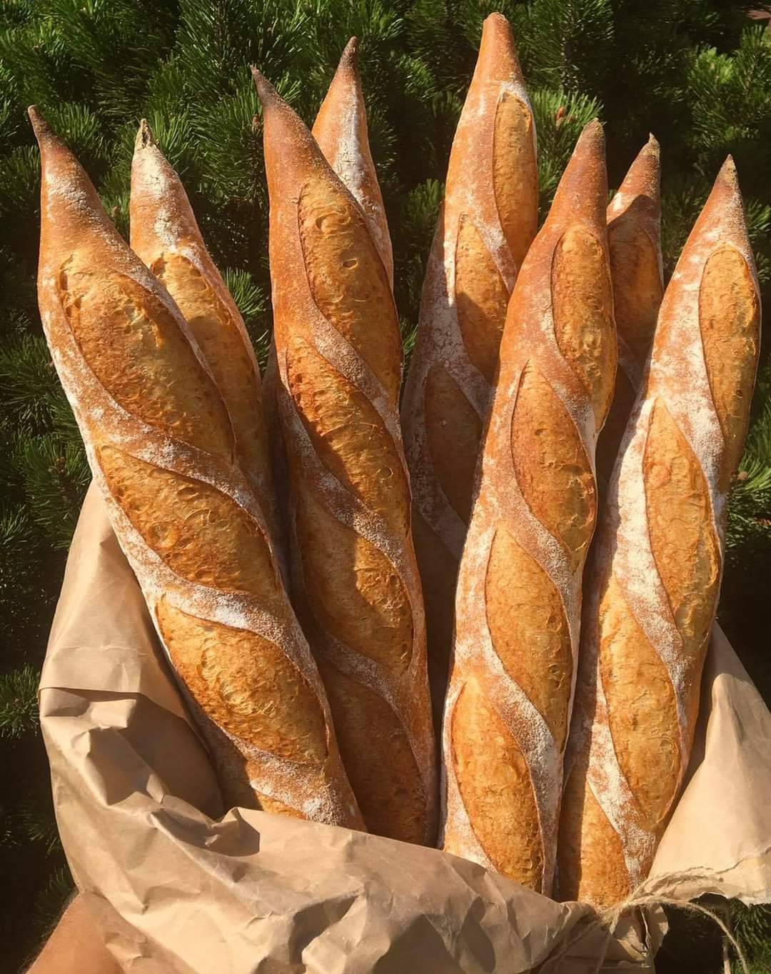 Slender artisan baguettes with deeply baked crusts and clear scoring