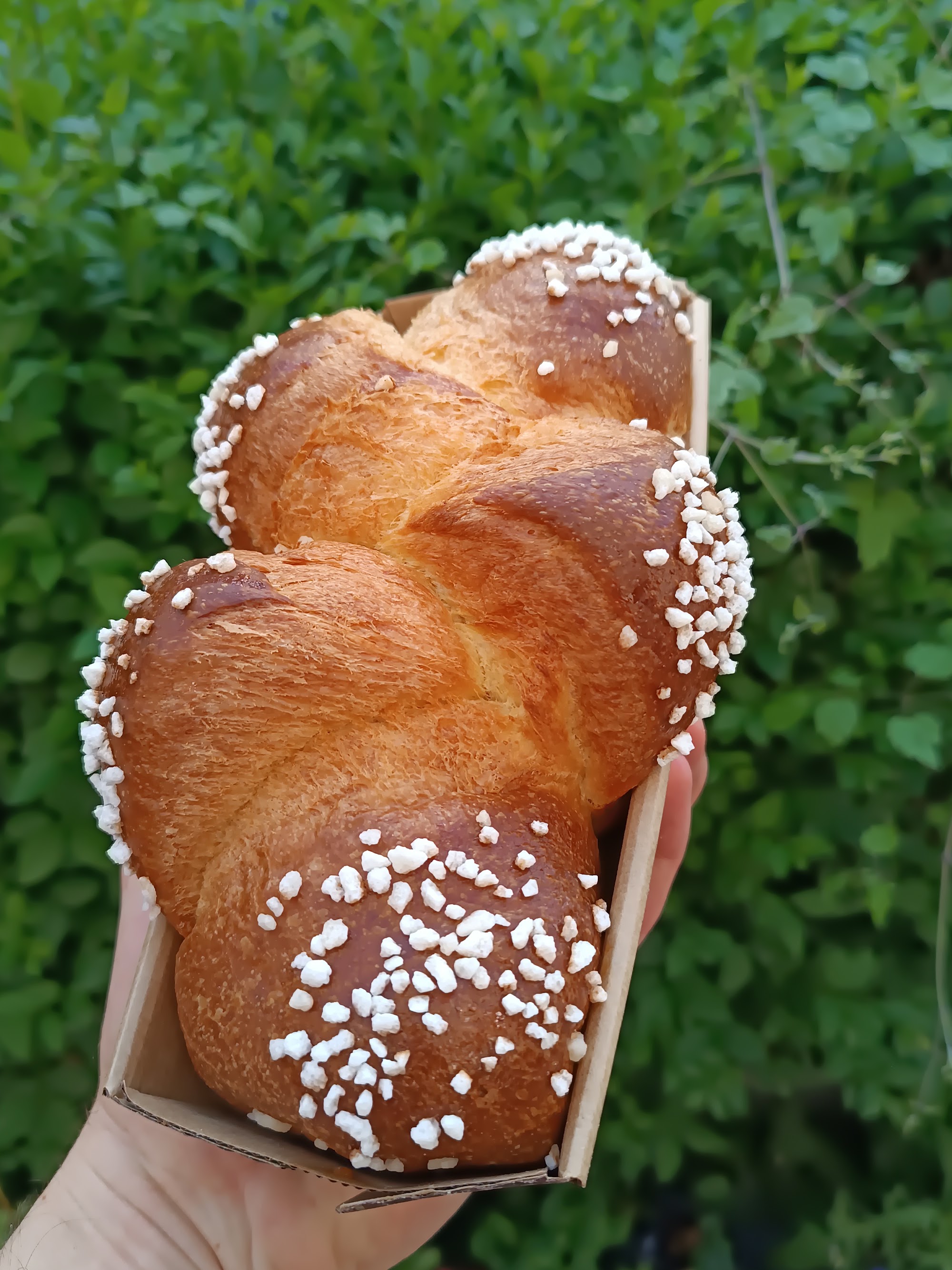 Glossy enriched brioche with a soft feathery crumb and golden crust