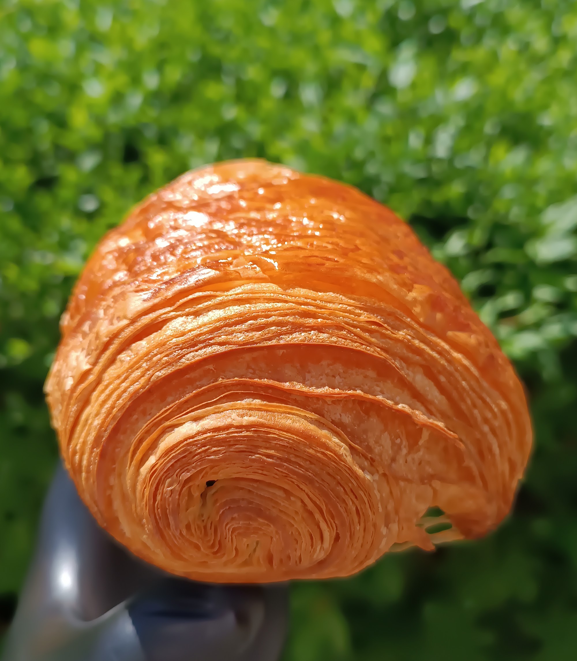 Deeply golden pain au chocolat with clear laminated layers and a crisp glossy crust