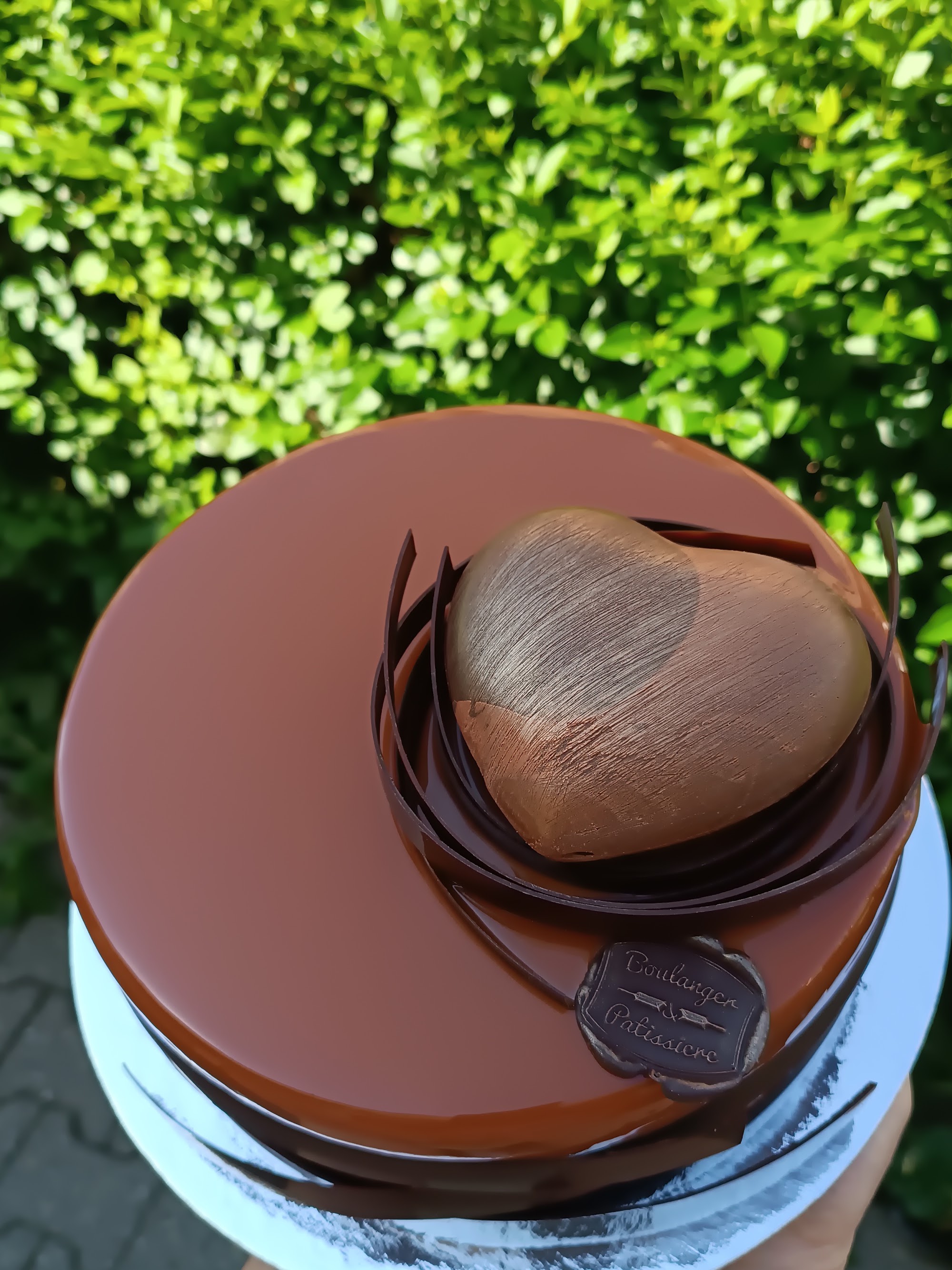 Polished chocolate celebration cake with sculptural decoration and a deep cocoa finish