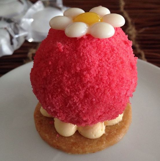 Pink dome-shaped pastry with white daisy decoration on a biscuit base