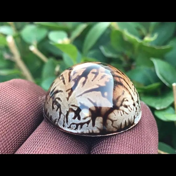 Glossy moulded chocolate bonbon with a clean curved shell and marbled finish