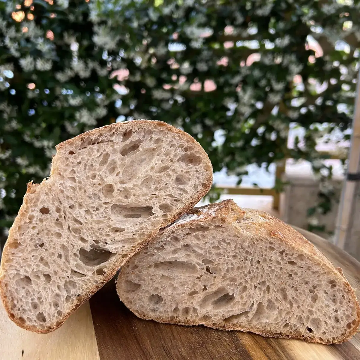 Sliced crusty loaf showing browned crust and open crumb