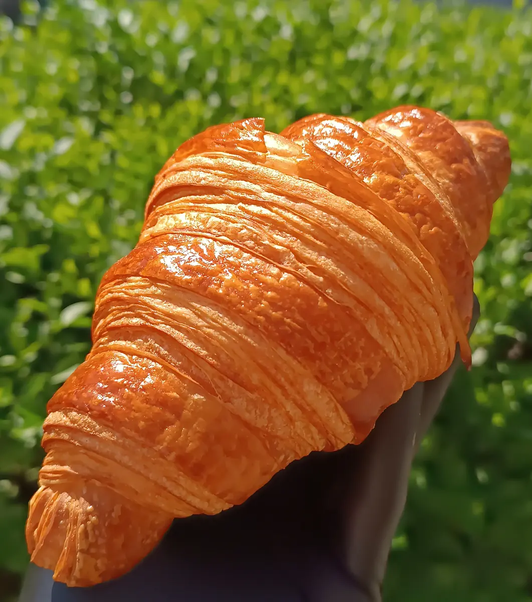 Golden croissant with even expansion and visible laminated ridges